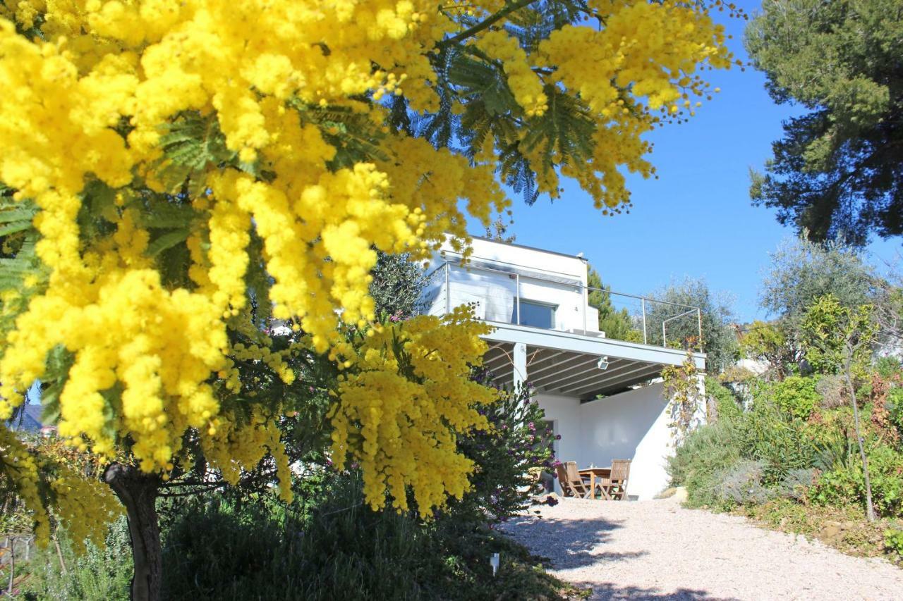 Ferienwohnung 456 Chemin De La Pinede Menton Exterior foto